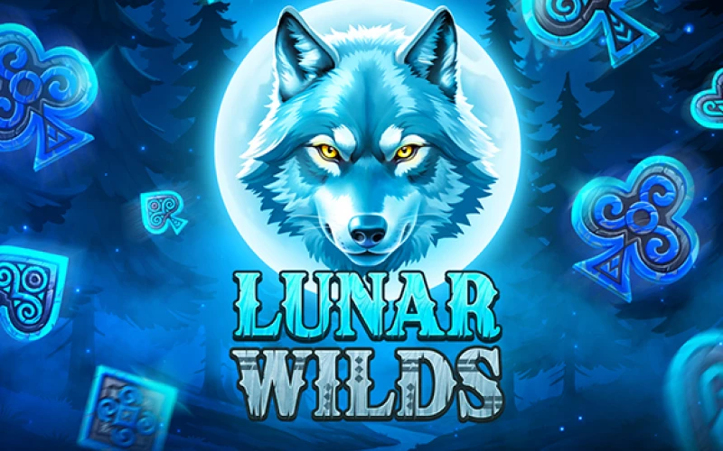 Drehe Lunar Wilds und sichere dir kosmische Belohnungen auf Locowin.